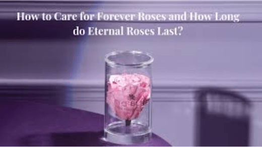 How to make rose in water globe