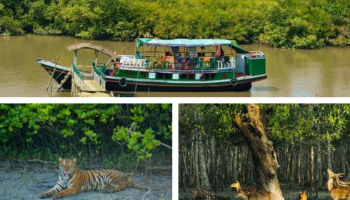 Sundarban tour package