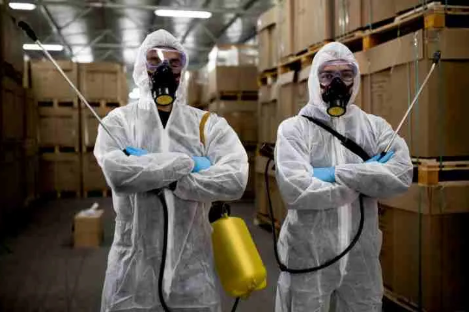 pest control service