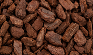 Pine Bark for Orchids: Complete Growing Guide